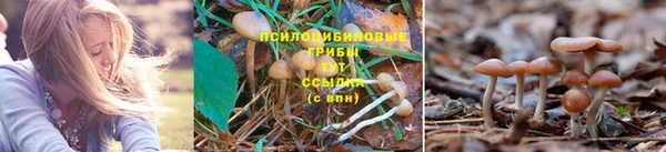 дурь Баксан