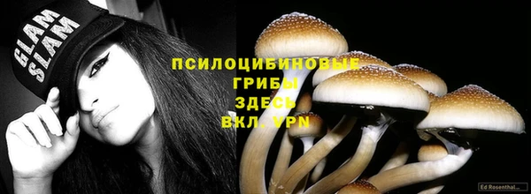 дурь Баксан