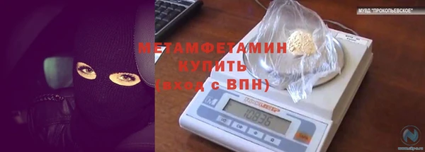 ГАЛЛЮЦИНОГЕННЫЕ ГРИБЫ Балахна