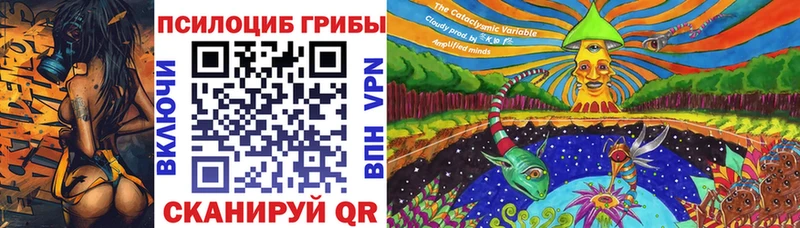 blacksprut ссылки  Уфа  Псилоцибиновые грибы GOLDEN TEACHER 